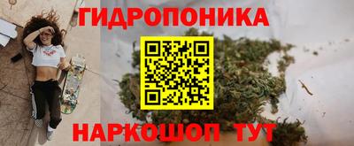 спиды Лесосибирск