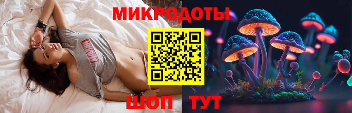 Галлюциногенные грибы Psilocybine cubensis  Галлюциногенные грибы Magic Shrooms  Ялта  Вход с VPN 